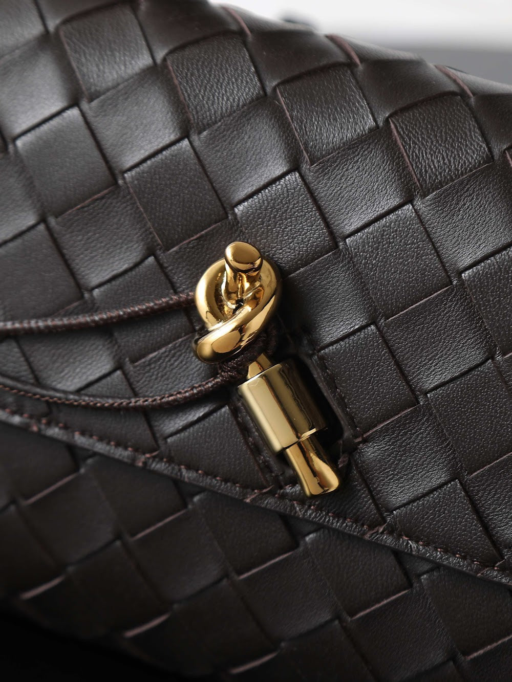 Ezyycart Bags Bottegan Luxury Bag --91397