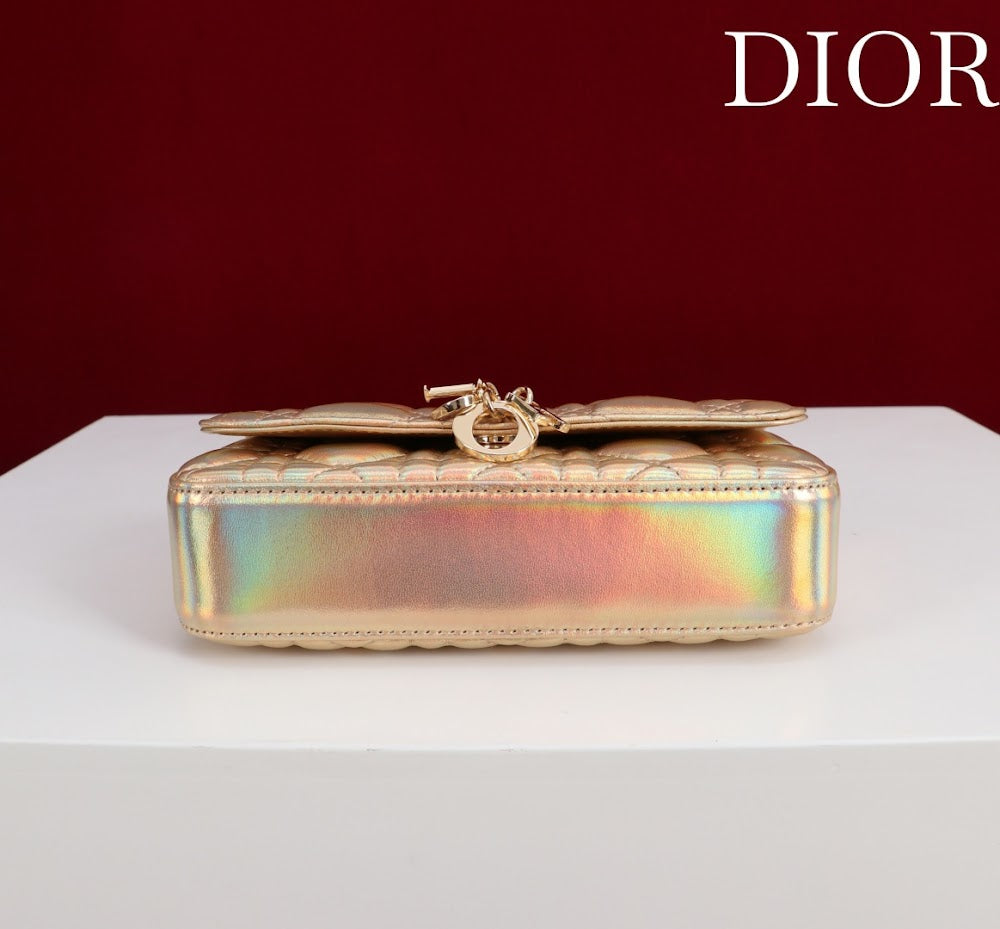 Ezyycart Bags Diorn Luxury Bag --116349
