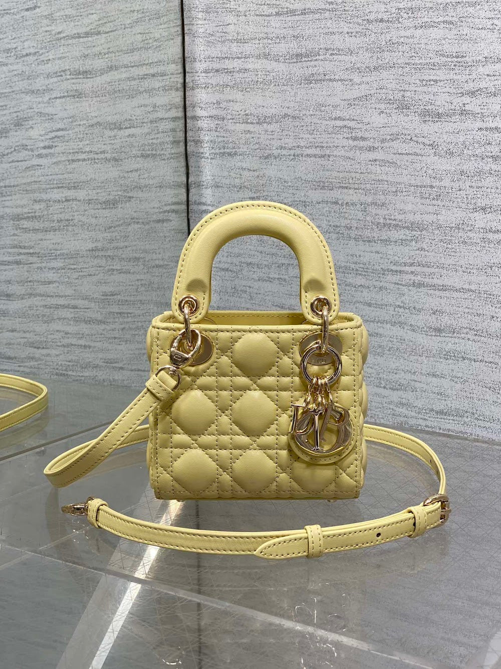 Anum Bags Diorn Luxury Bag --114981