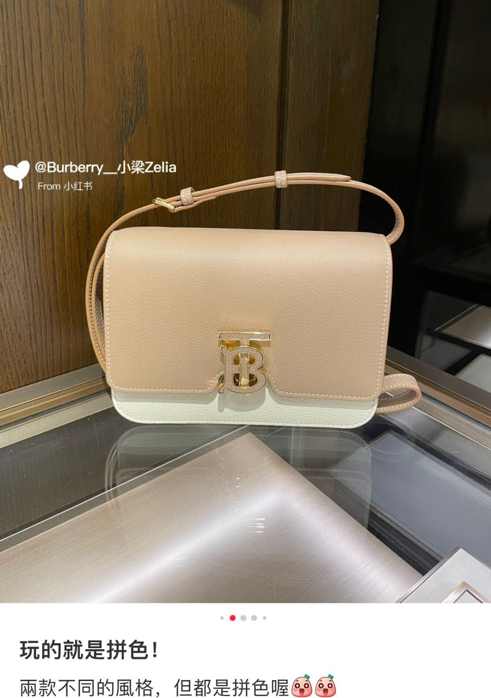 Ezyycart Bags Burberryn Luxury Bag --92099
