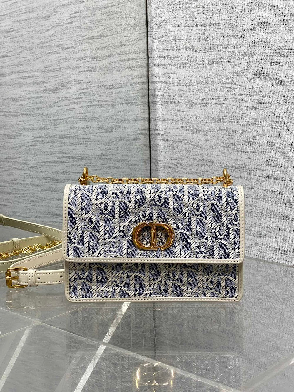 new-designer-premium-bags-nm16509