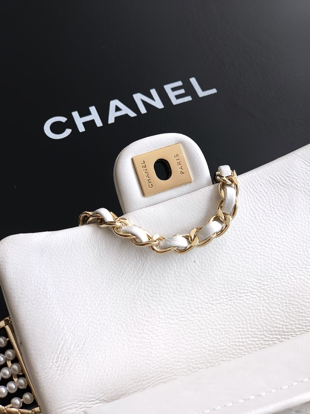 Anum Bags CHn Luxury Bag --112666