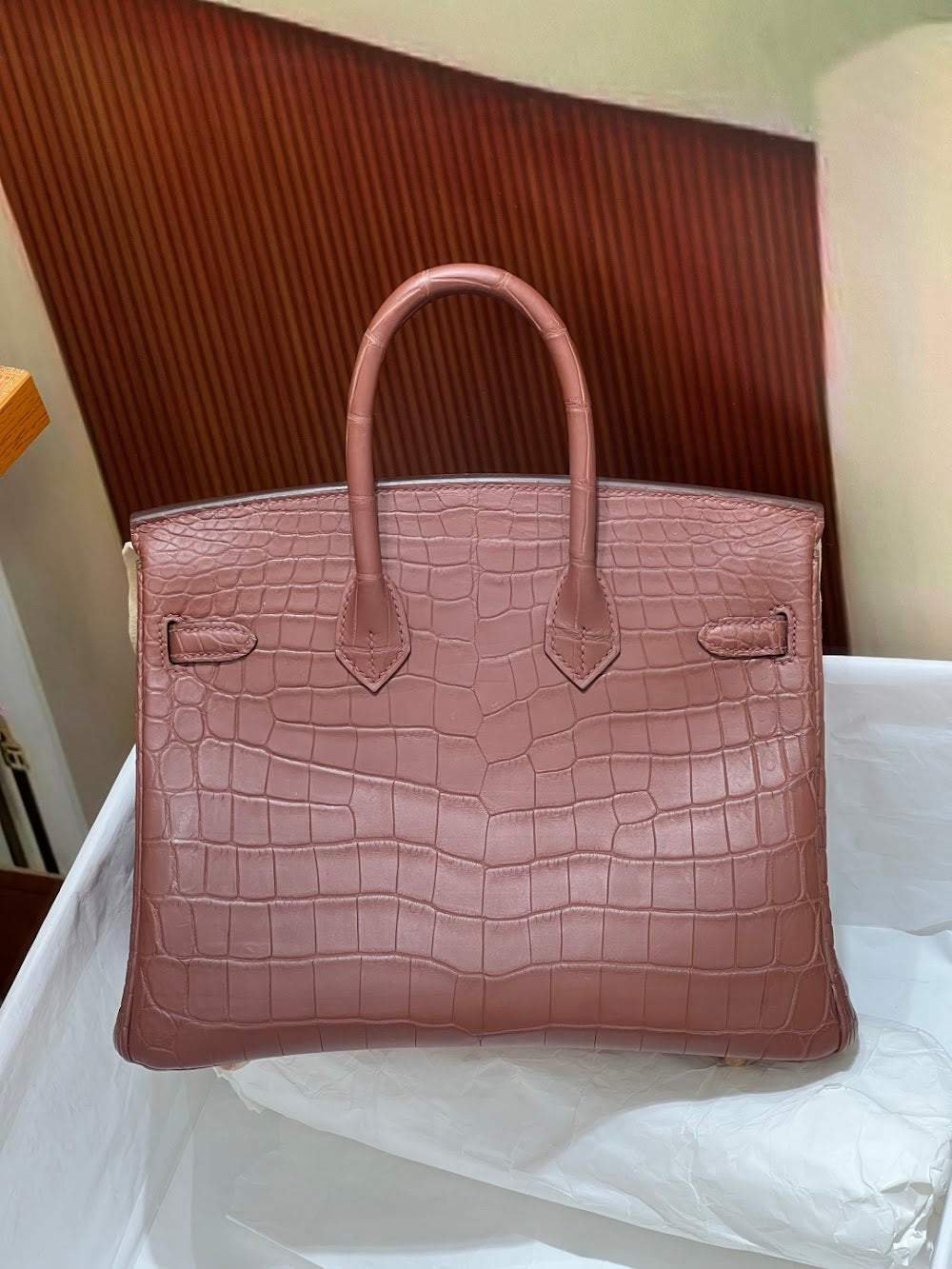 Anum Bags Hermesn Luxury Bag --117396