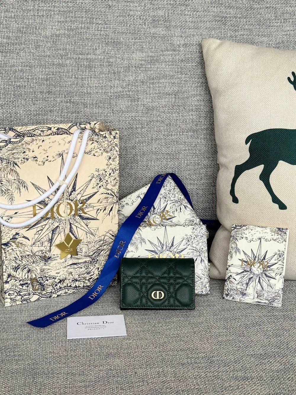 Anum Bags Diorn Luxury Bag --114629