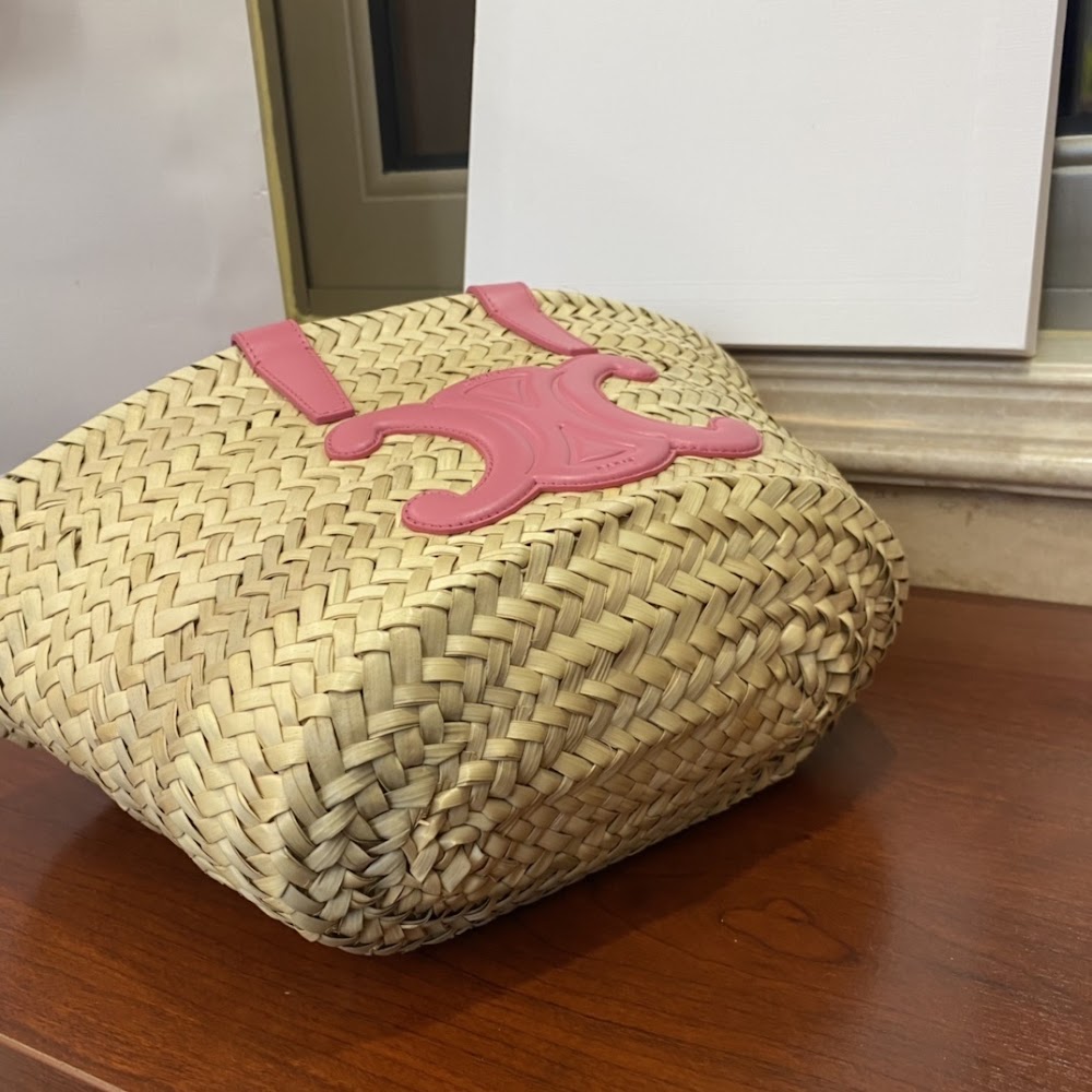 Ezyycart Bags Celine Luxury Bag --111979