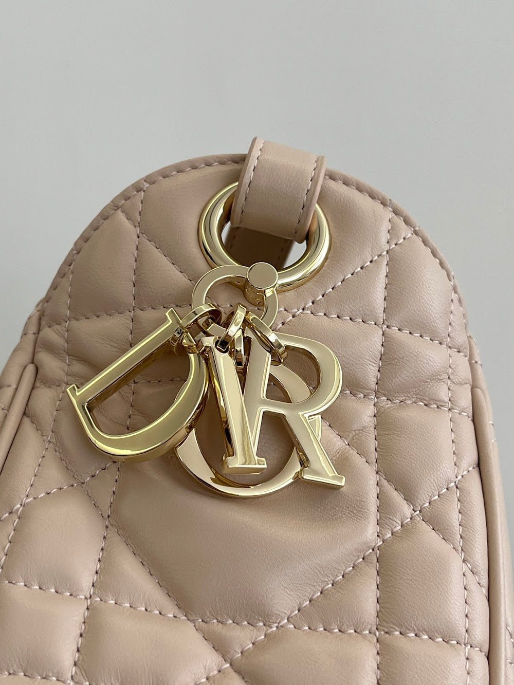 Anum Bags Diorn Luxury Bag --114961