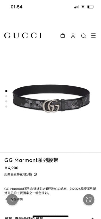 Ezyycart Bags Guccin Luxury Belt --108566