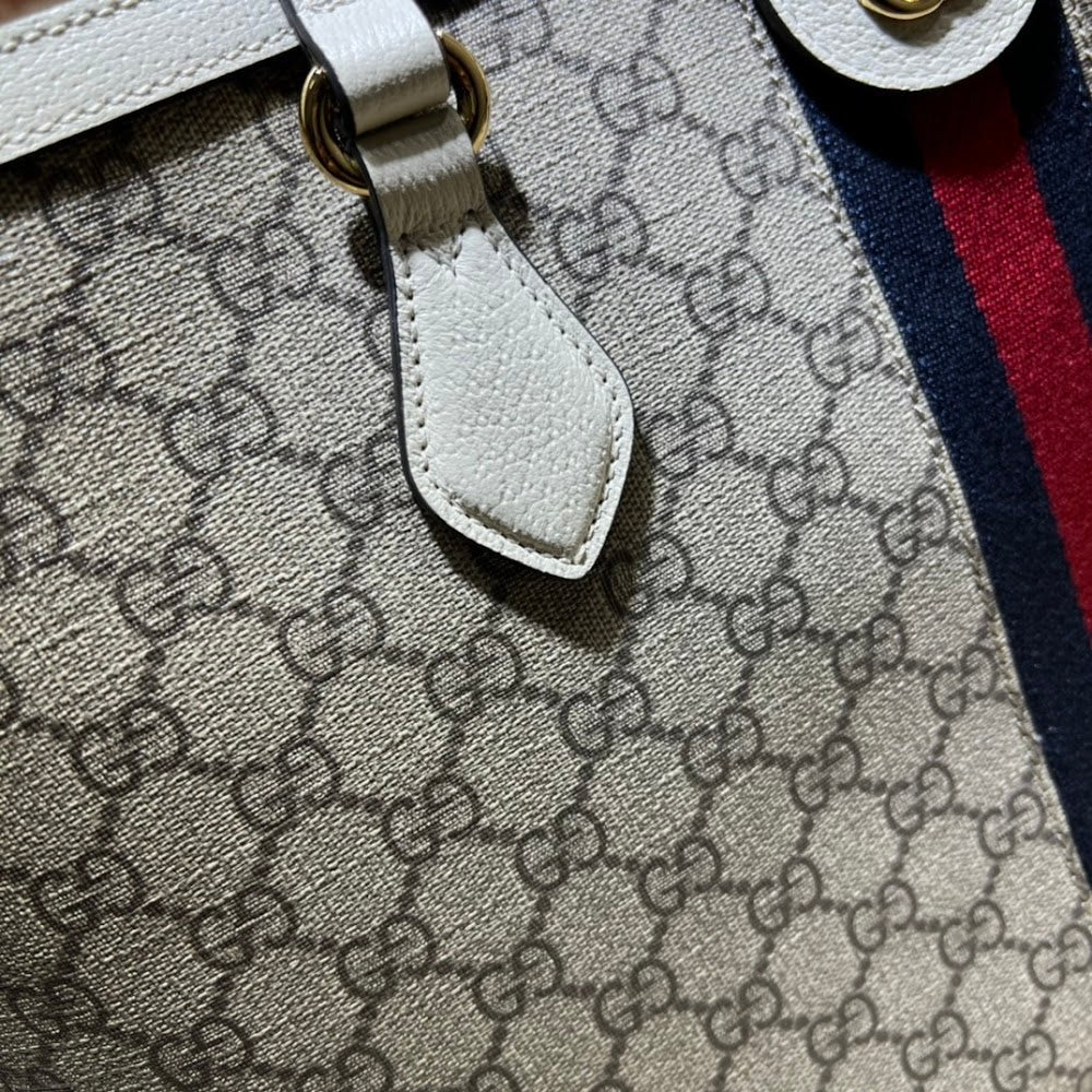 Ezyycart Bags Guccin Luxury Bag --95510