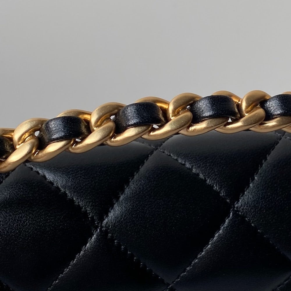 new-designer-premium-bags-nm10165