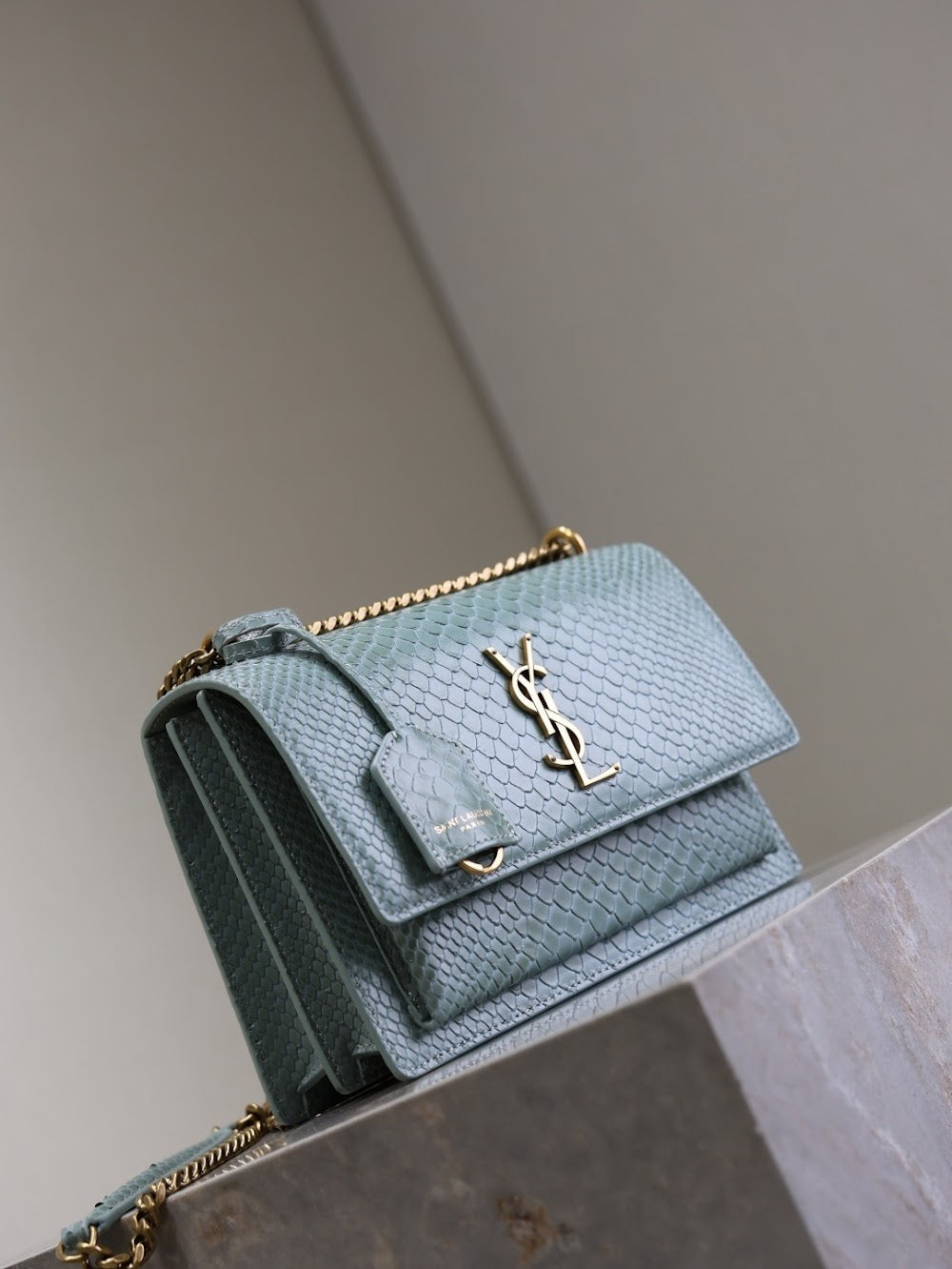 Ezyycart Bags YSLn Luxury Bag --119172