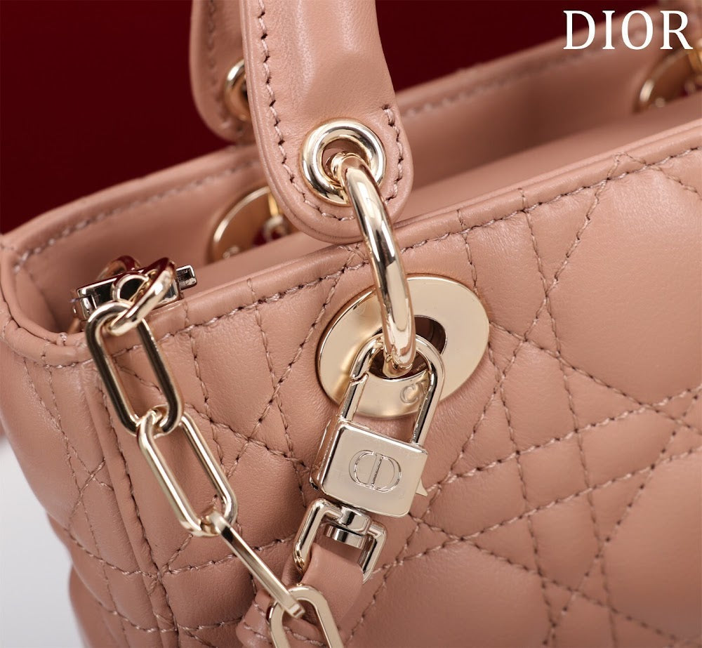 Ezyycart Bags Diorn Luxury Bag --116466