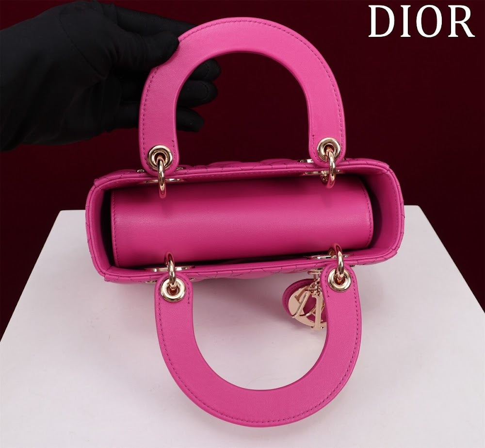 Ezyycart Bags Diorn Luxury Bag --115913
