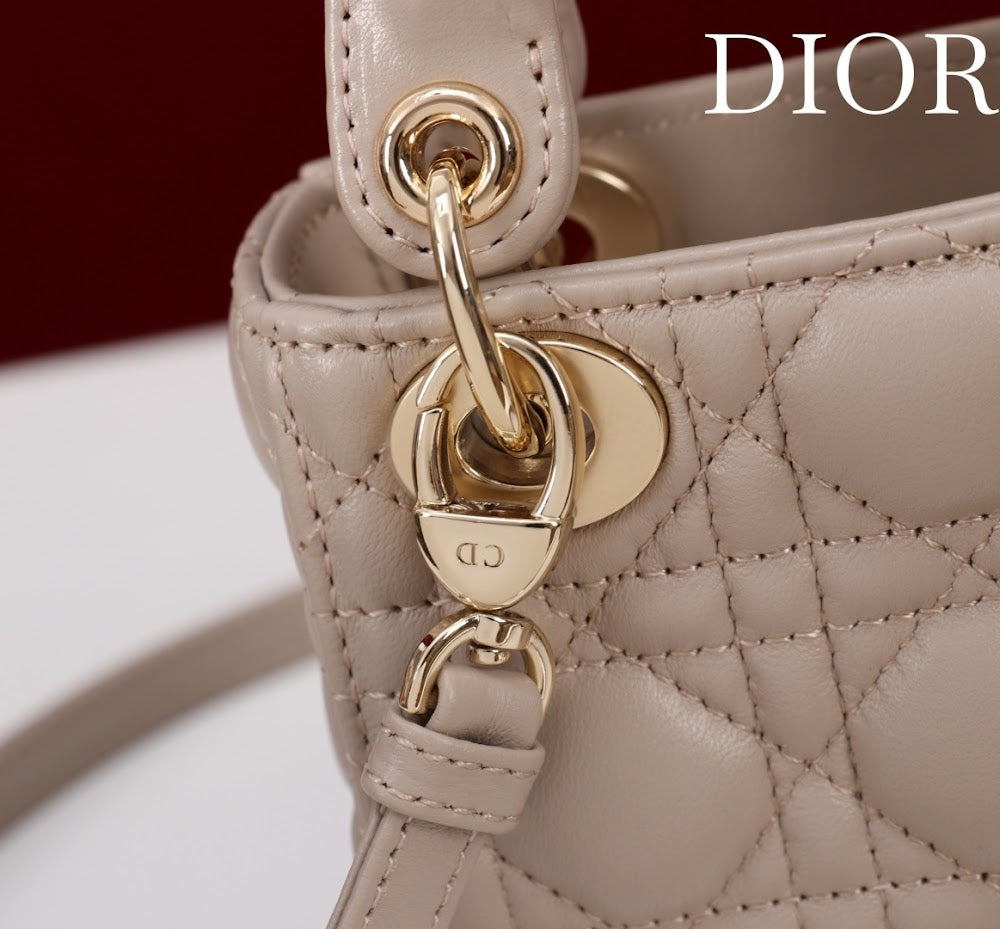 Ezyycart Bags Diorn Luxury Bag --116536