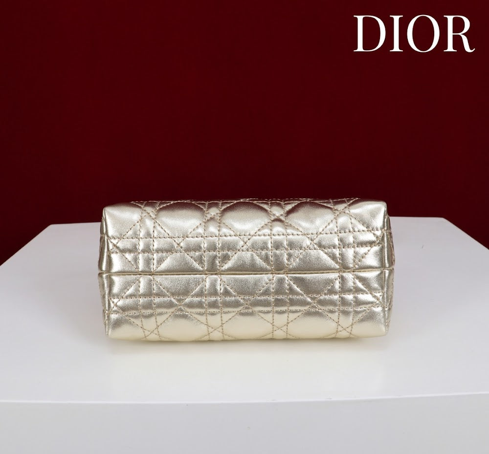 Anum Bags Diorn Luxury Bag --114557