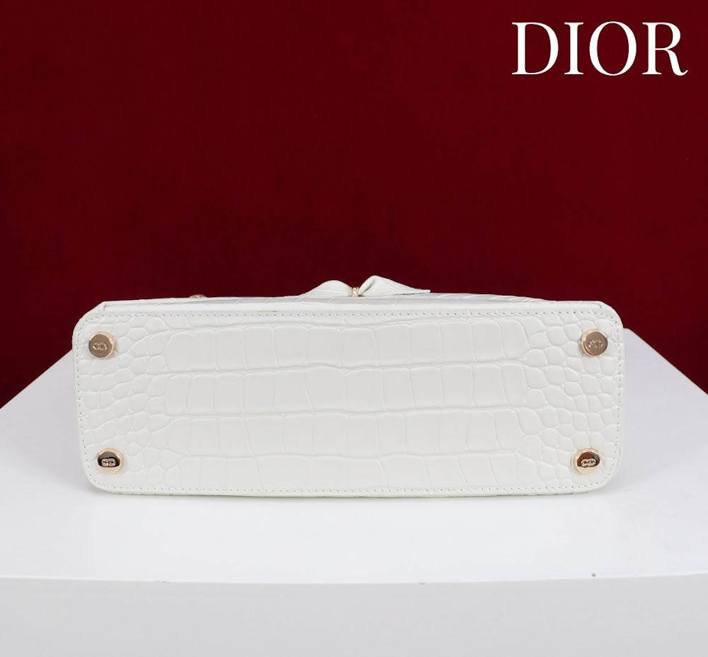 Anum Bags Diorn Luxury Bag --114793