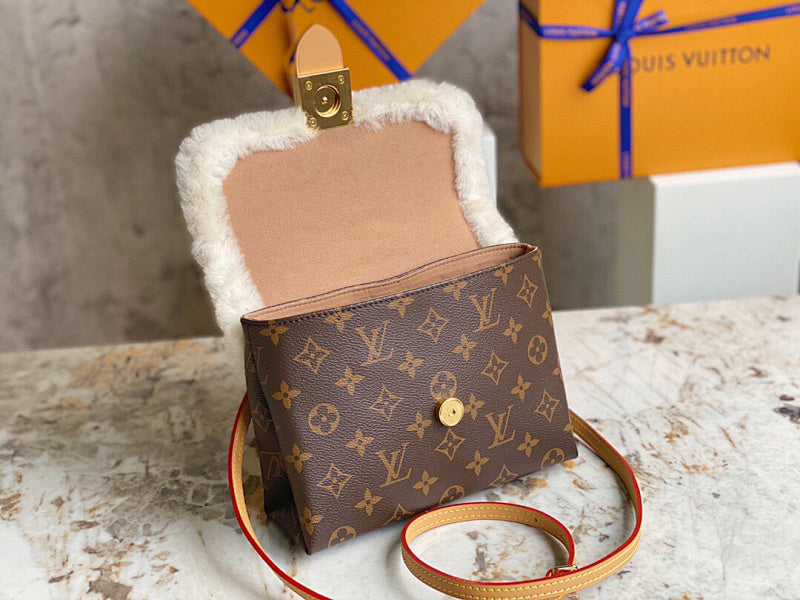 Anum Bags LVn Luxury Bag --79896