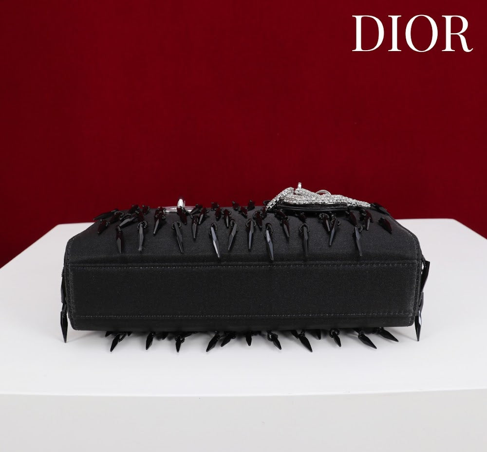 Anum Bags Diorn Luxury Bag --114706