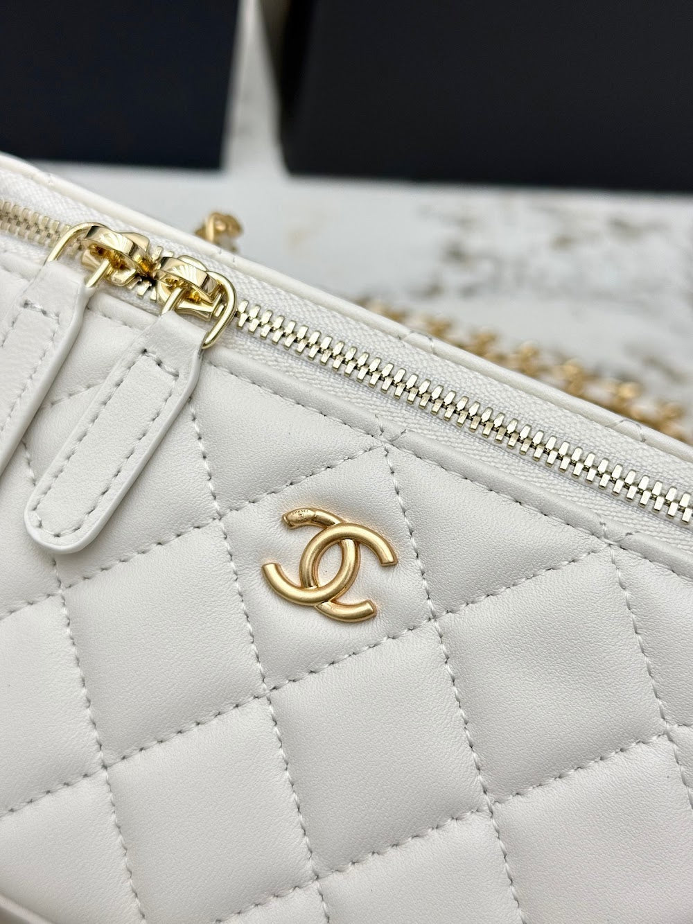 Anum Bags CHn Luxury Bag --113773