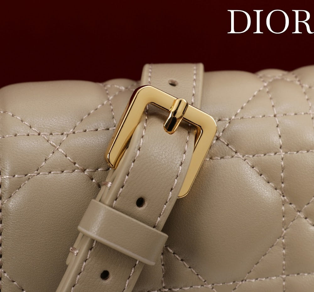 Ezyycart Bags Diorn Luxury Bag --116375