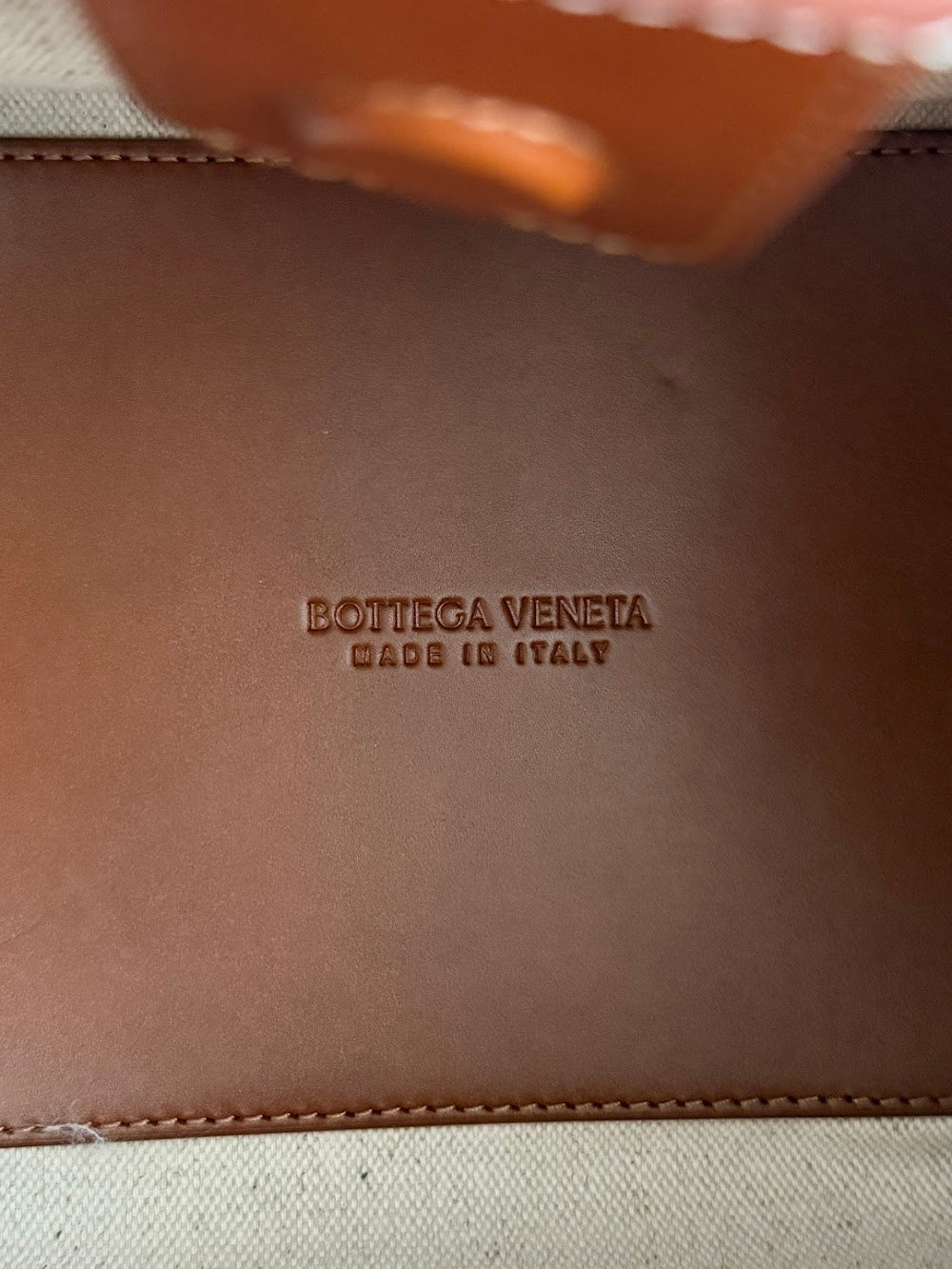 Ezyycart Bags Bottegan Luxury Bag --91076