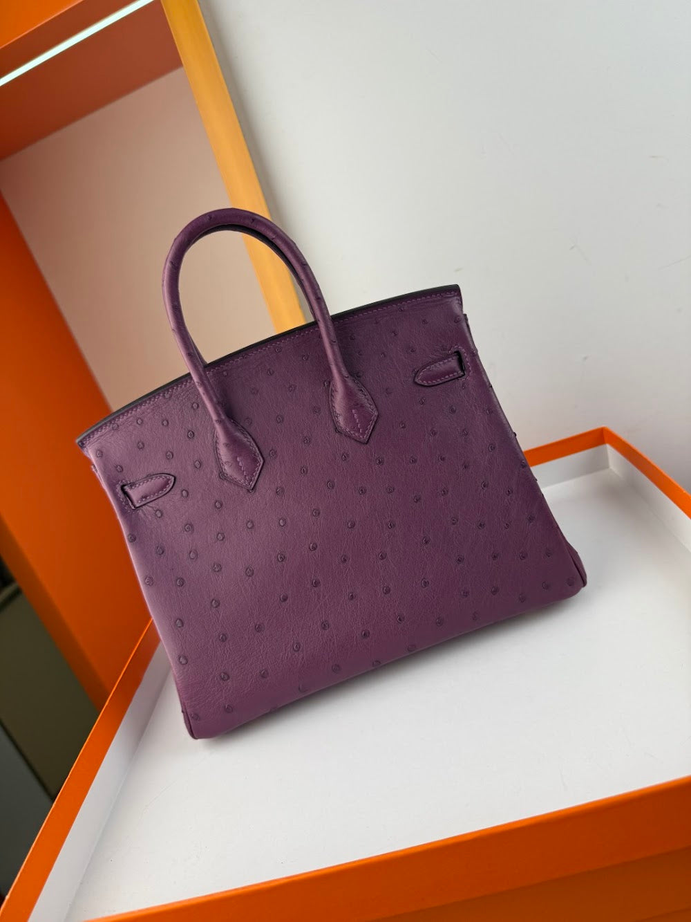 Anum Bags Hermesn Luxury Bag --116761
