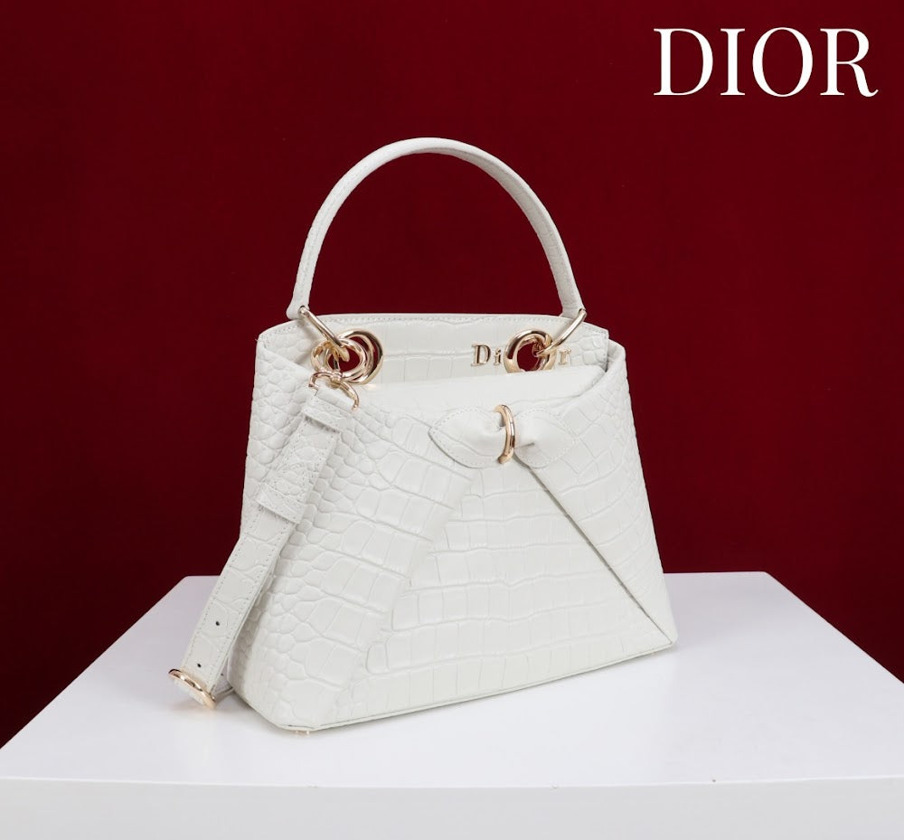 Anum Bags Diorn Luxury Bag --114793