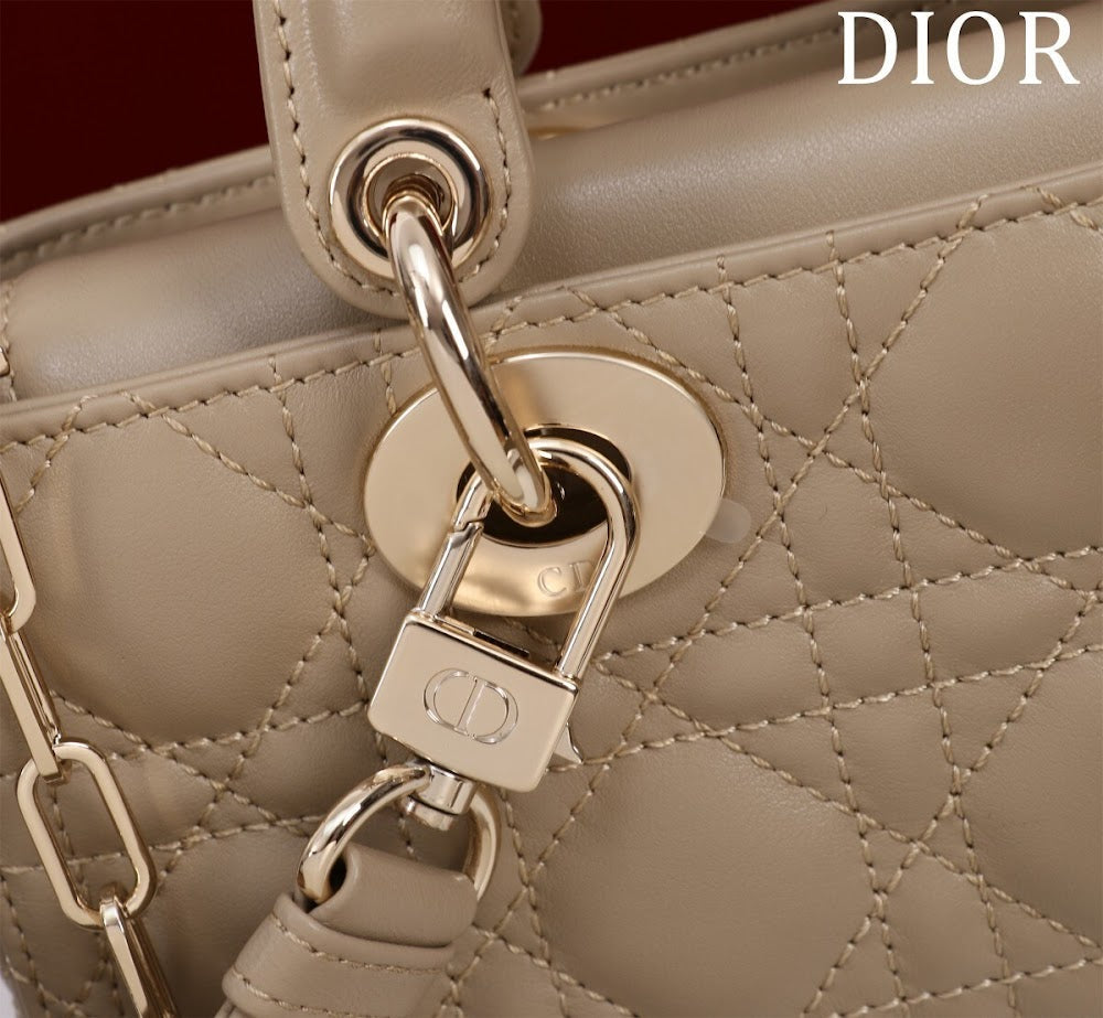 Anum Bags Diorn Luxury Bag --114768