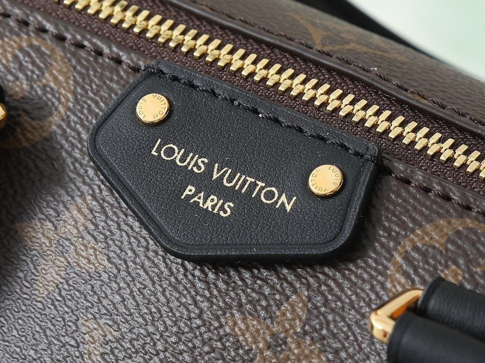 Anum Bags LVn Luxury Bag --78889