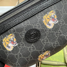 new-designer-premium-bags-nm8598