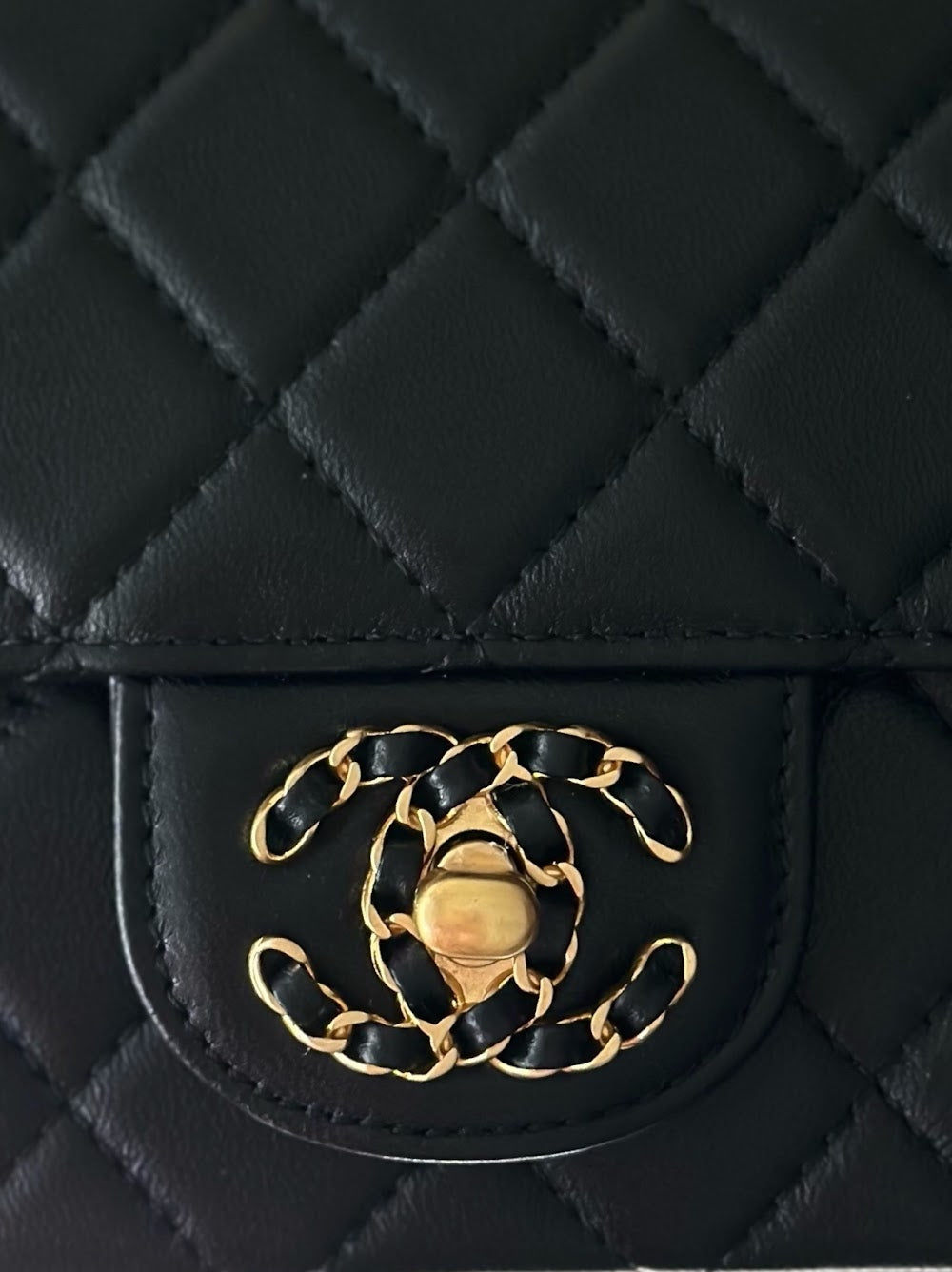 Anum Bags CHn Luxury Bag --112954