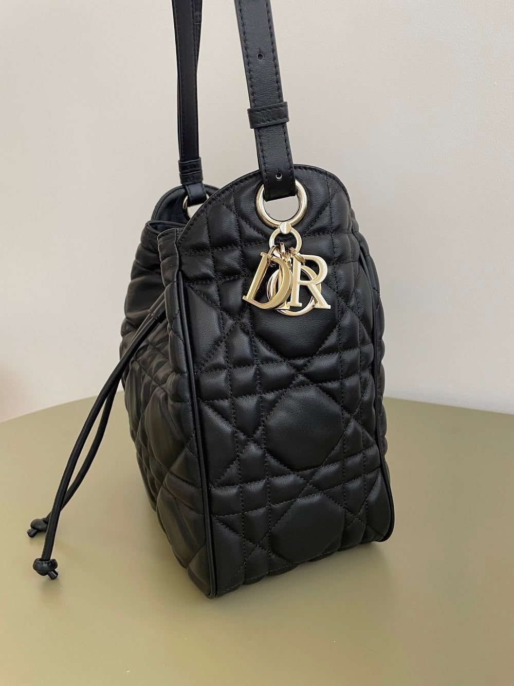 Anum Bags Diorn Luxury Bag --114960