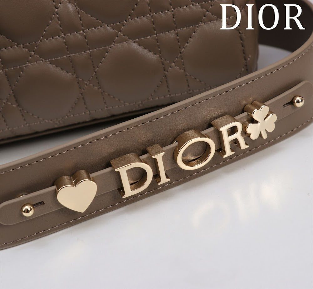 Ezyycart Bags Diorn Luxury Bag --115914