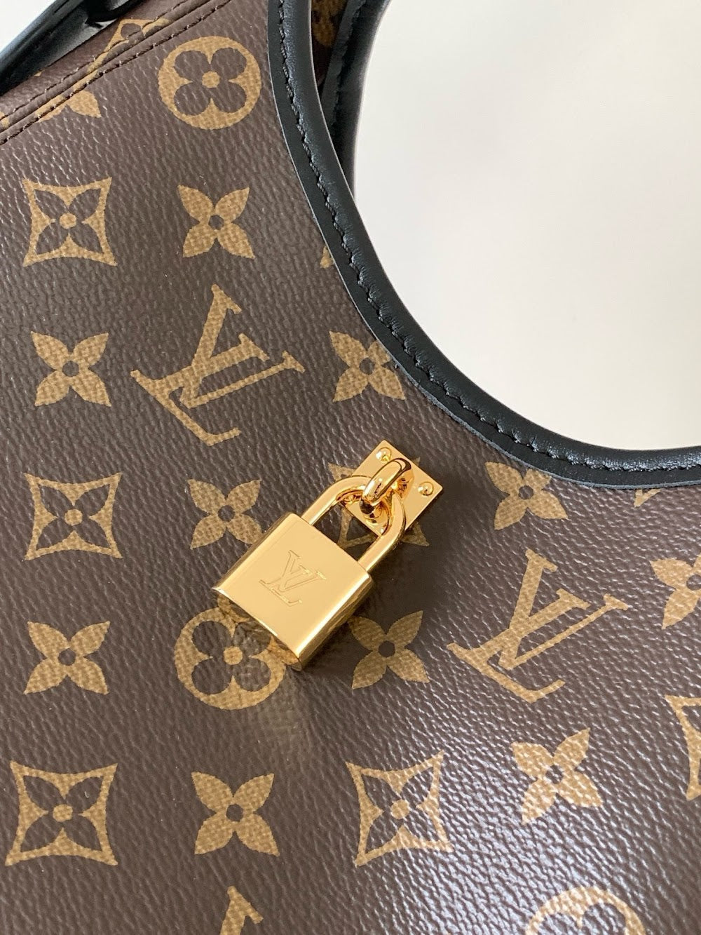 Anum Bags LVn Luxury Bag --81084