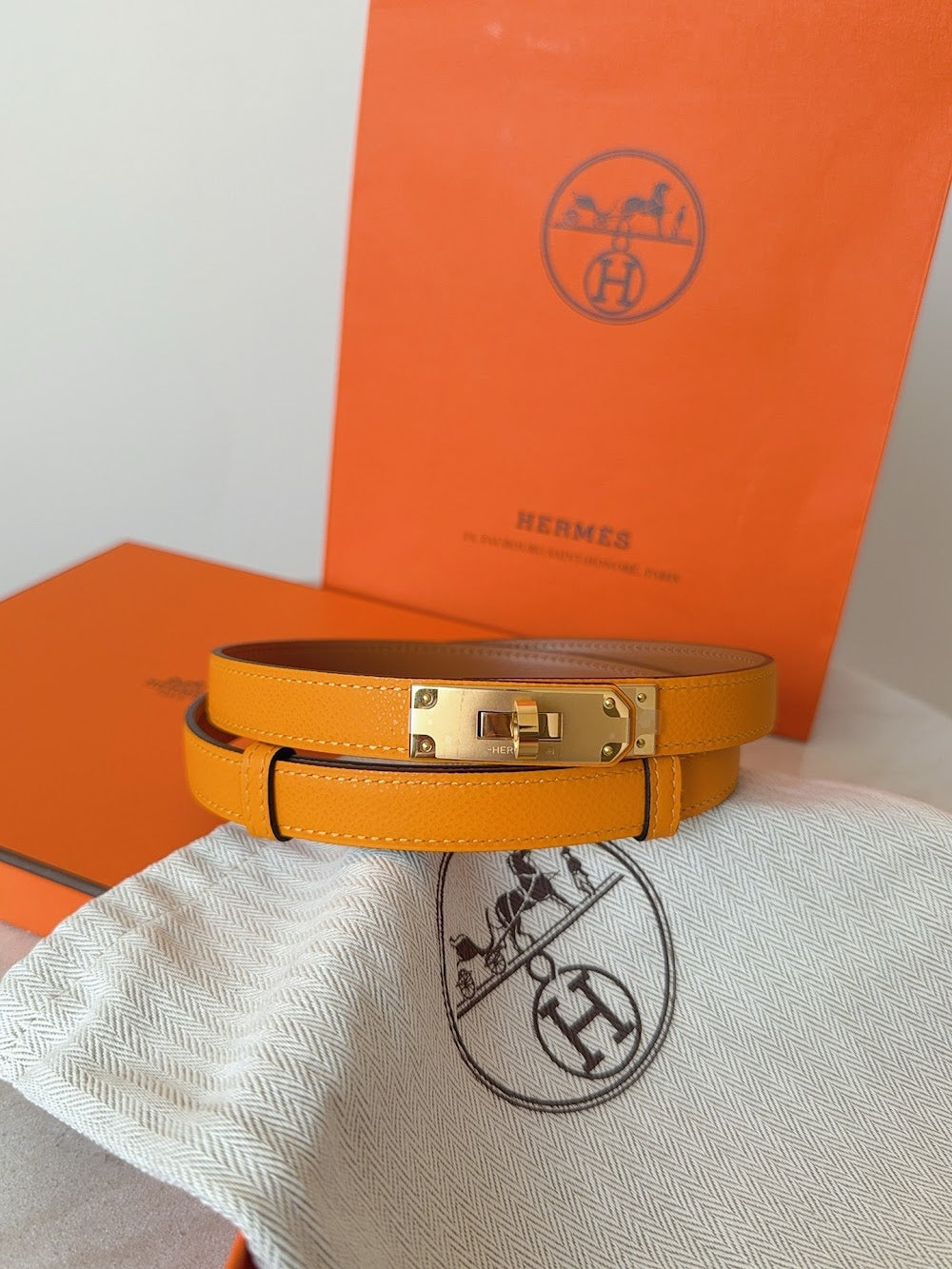 Anum Bags Hermesn Luxury Belt --109236