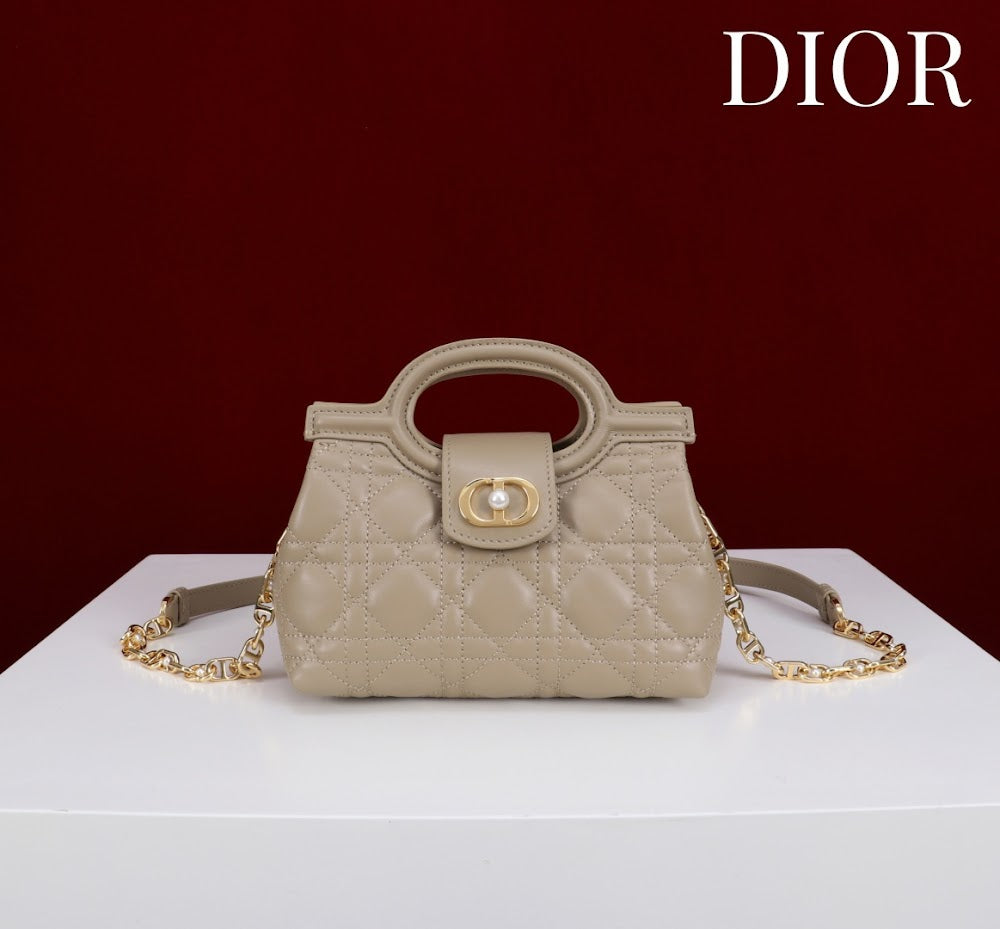 Anum Bags Diorn Luxury Bag --114562