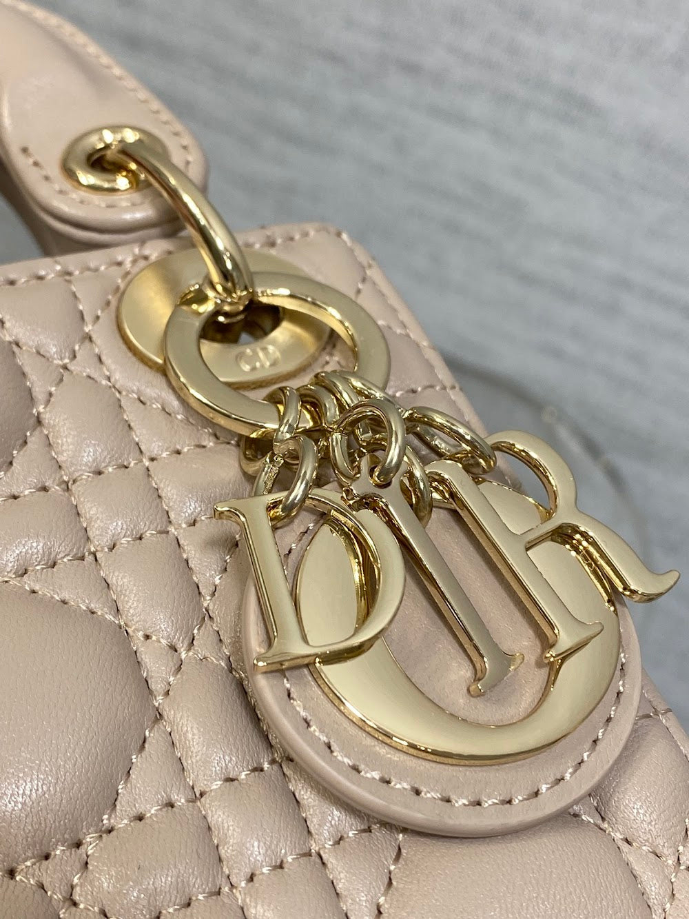 Anum Bags Diorn Luxury Bag --114982