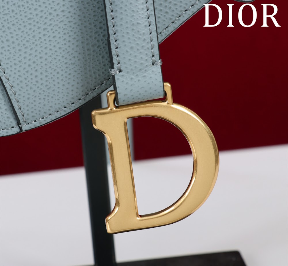 Ezyycart Bags Diorn Luxury Bag --116505