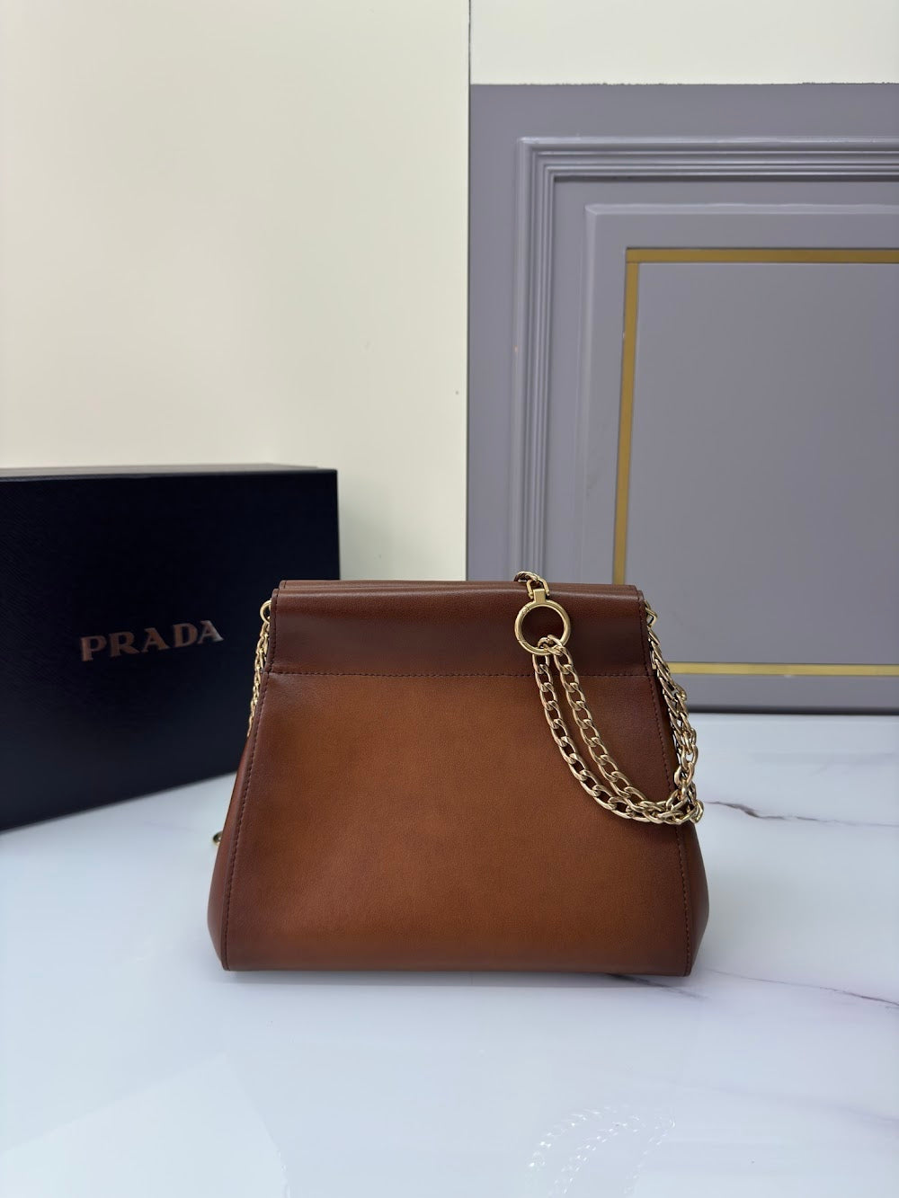 Ezyycart Bags Pradn Luxury Bag --101481