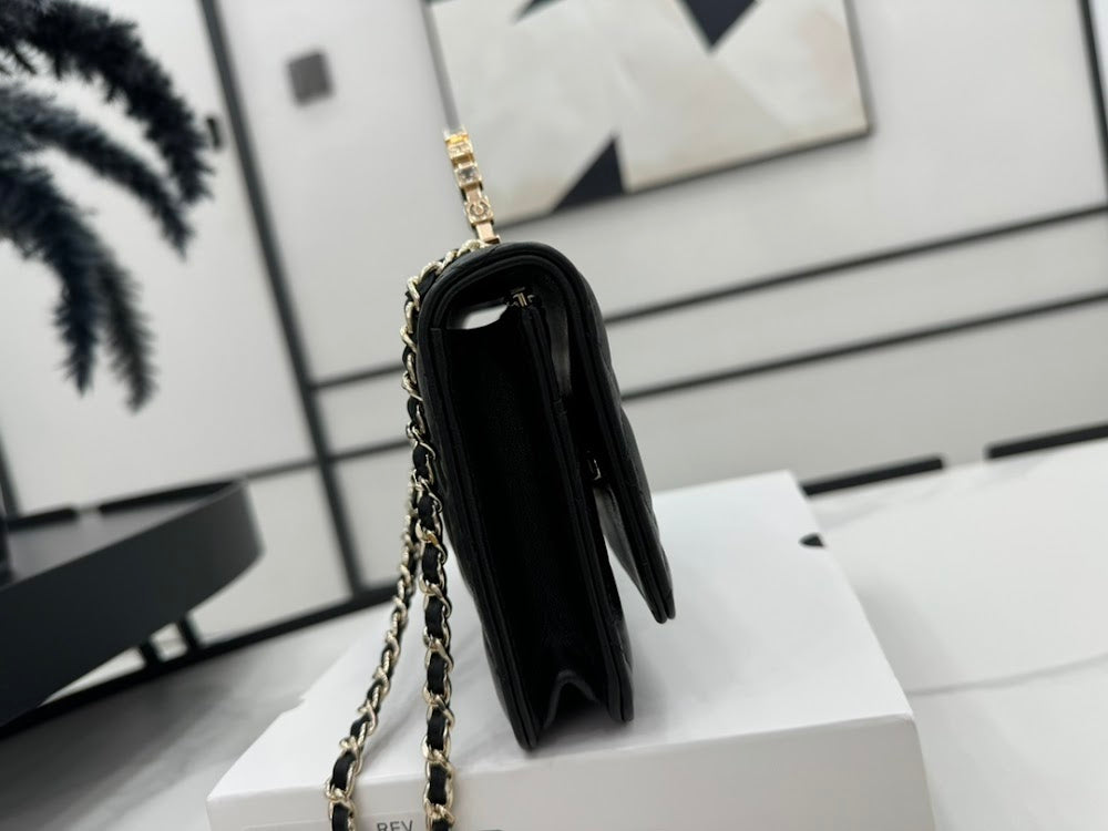 new-designer-premium-bags-nm19855