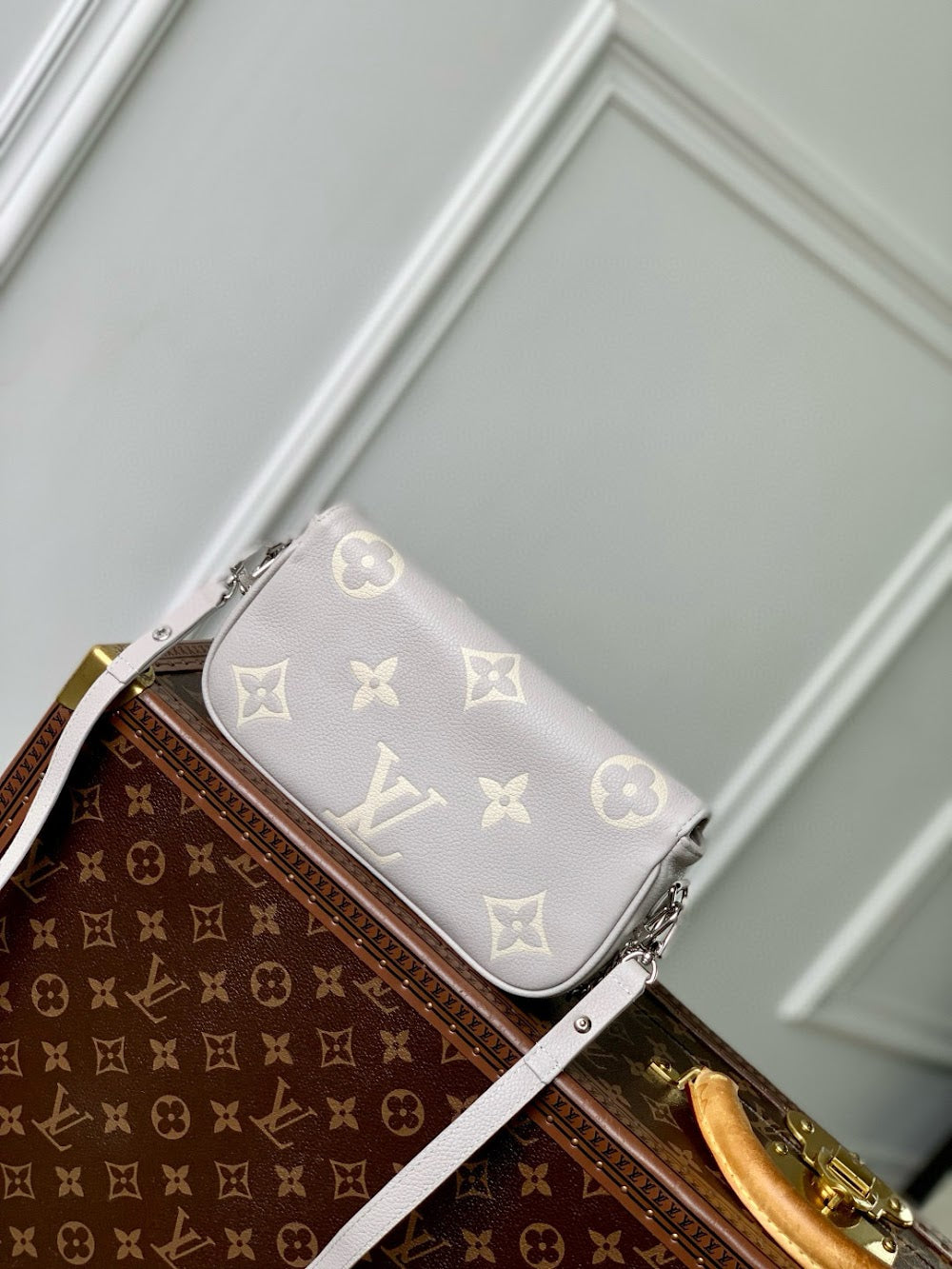 Anum Bags LVn Luxury Bag --79111