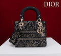 Anum Bags Diorn Luxury Bag --114873