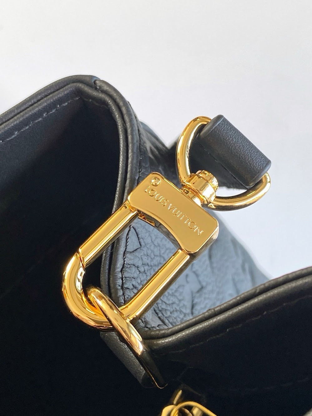Anum Bags LVn Luxury Bag --79369