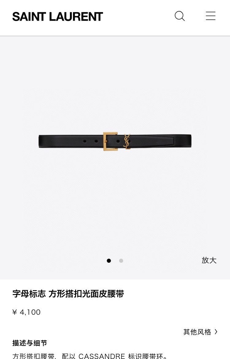 Ezyycart Bags YSLn Luxury Belt --107663