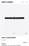 Ezyycart Bags YSLn Luxury Belt --110517