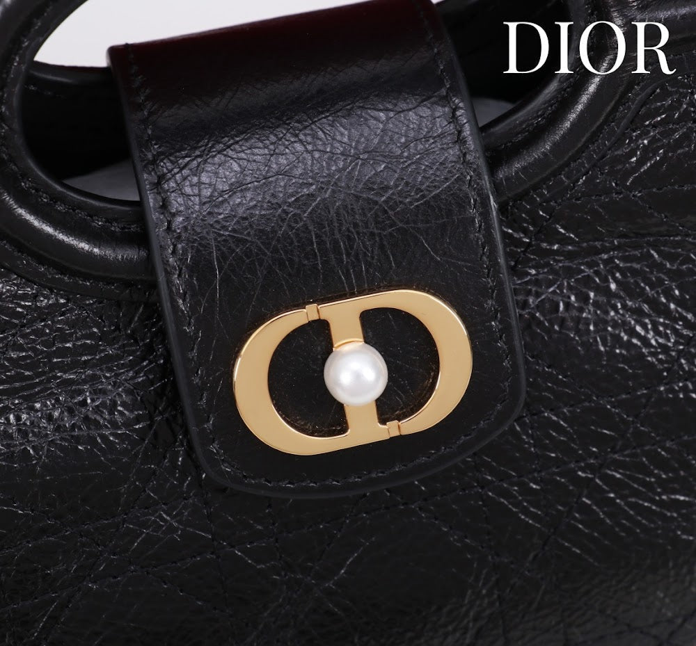 Anum Bags Diorn Luxury Bag --114556