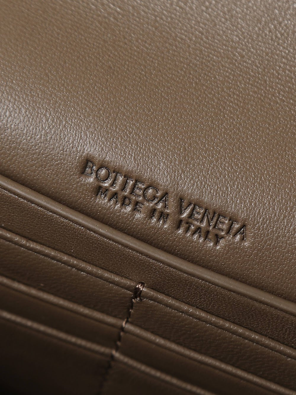 Ezyycart Bags Bottegan Luxury Bag --91400