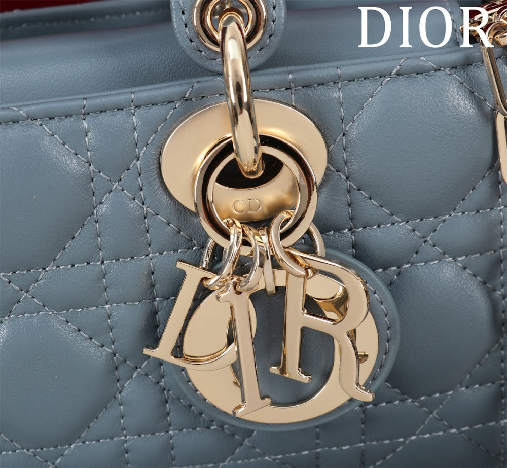 Anum Bags Diorn Luxury Bag --114720
