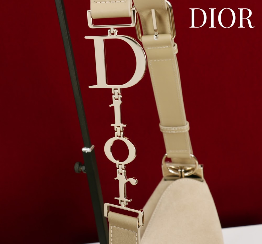 Ezyycart Bags Diorn Luxury Bag --115367