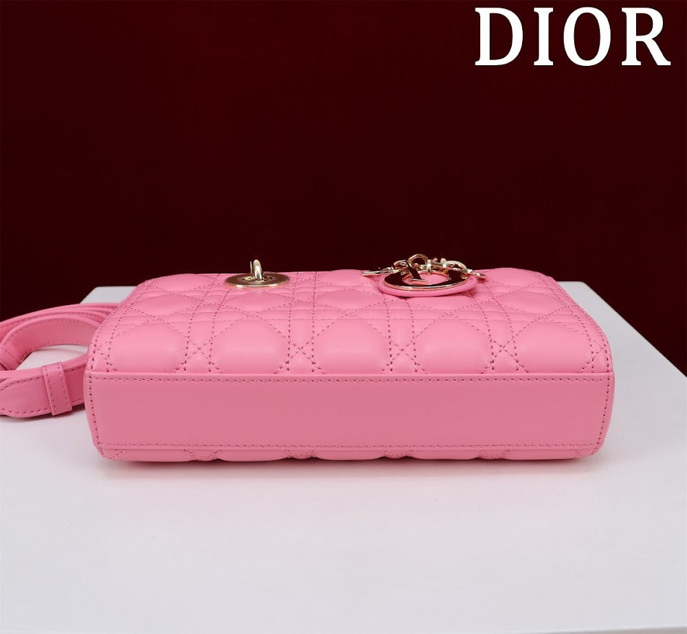 Anum Bags Diorn Luxury Bag --114746