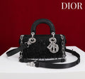 Anum Bags Diorn Luxury Bag --114706